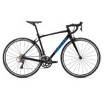 Giant Contend 3